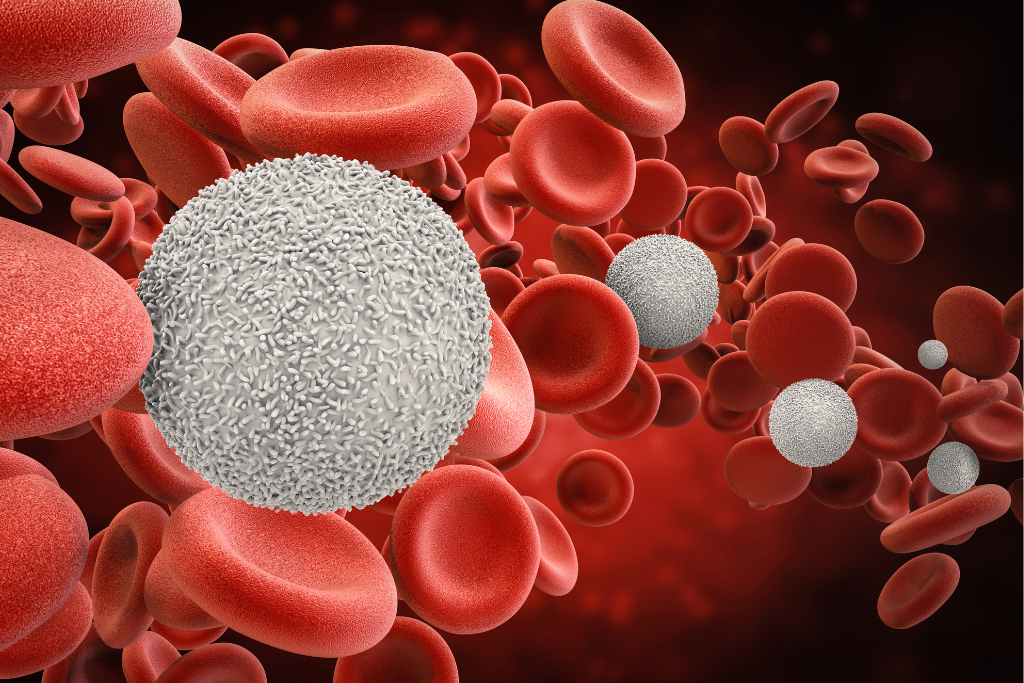Illustration of semaglutide's mechanism of action regulating blood sugar and promoting insulin