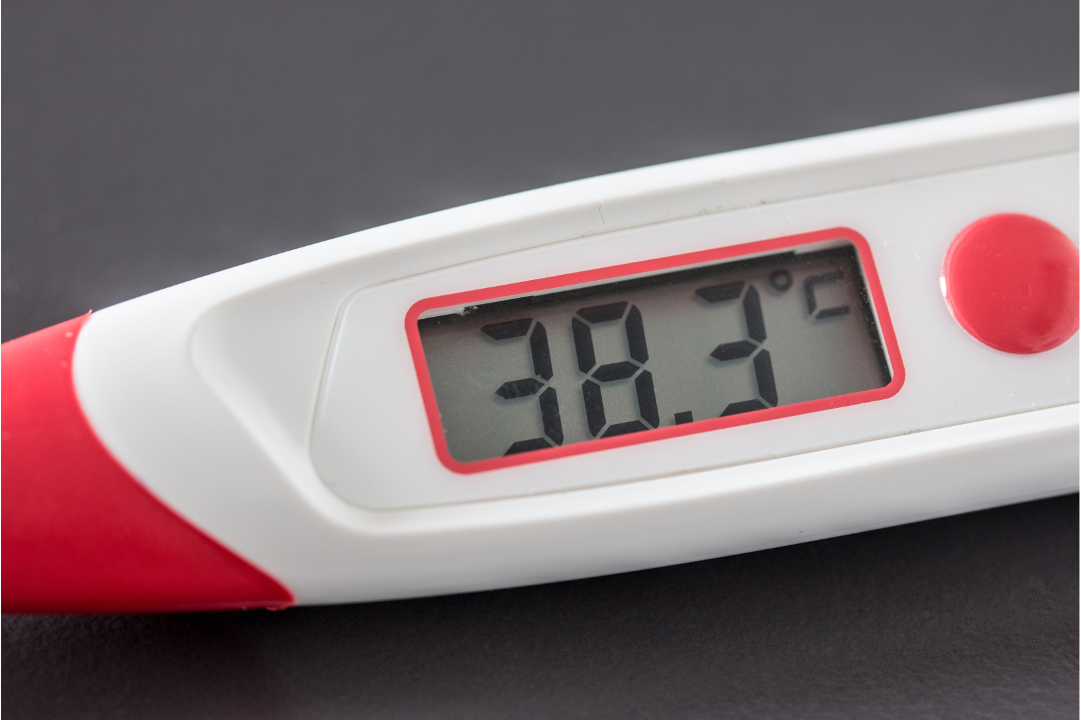 Digital thermometer showing 38.3°C indicating fever symptom associated with malaria infection.