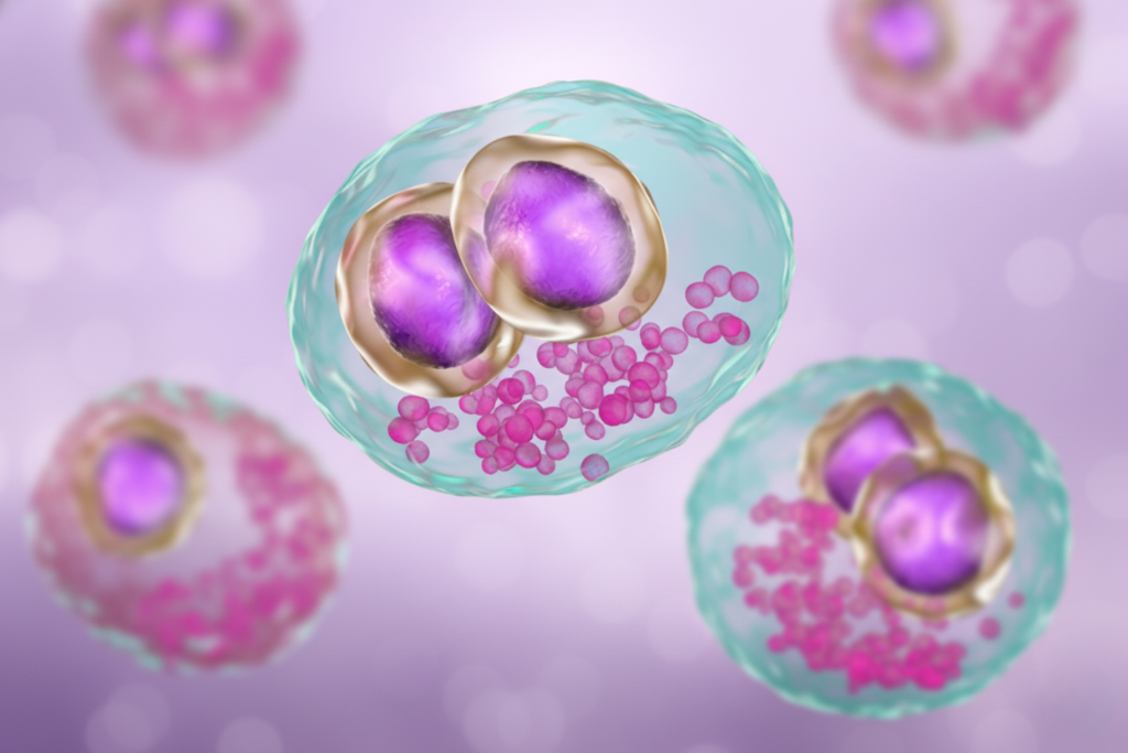 Cytomegalovirus (CMV) virus cells under microscope showing herpesvirus structure