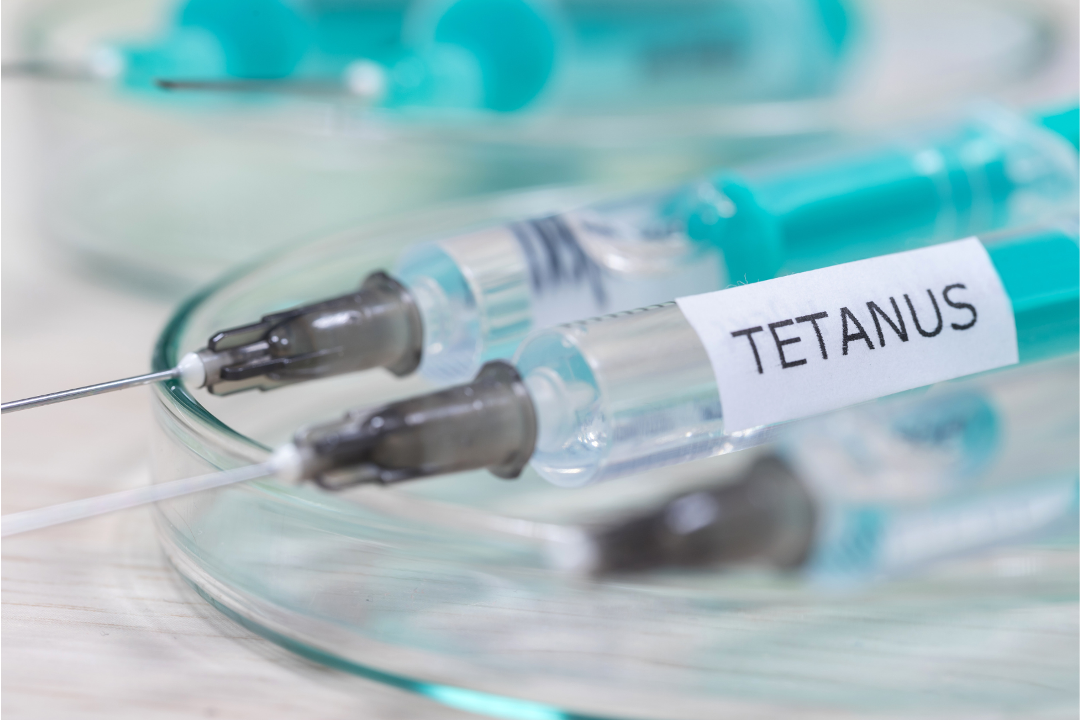 Tetanus vaccine syringes prepared for immunisation against bacterial infection that can be fatal
